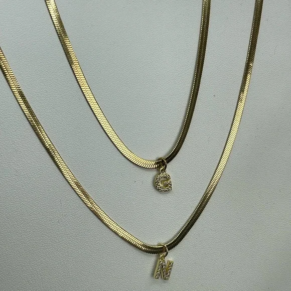 Titanium Steel and Zircon Snake Adjustable Length Necklace With Initial - Picture 4 of 6